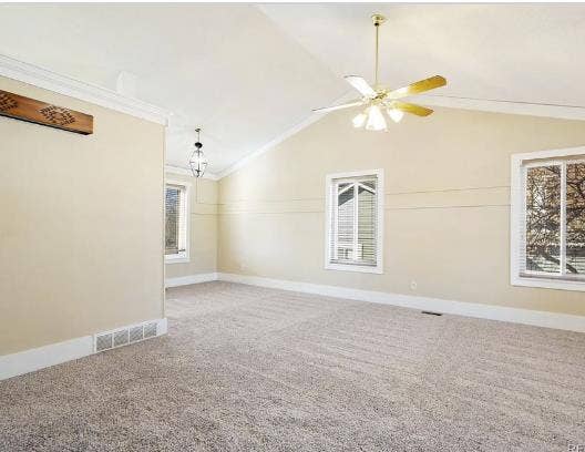 Looking for chill tenant