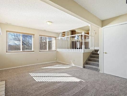 Looking for chill tenant