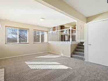 Looking for chill tenant