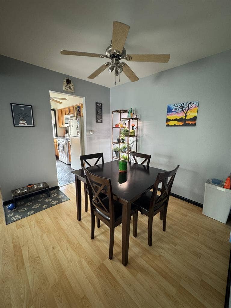 Looking for Roommate