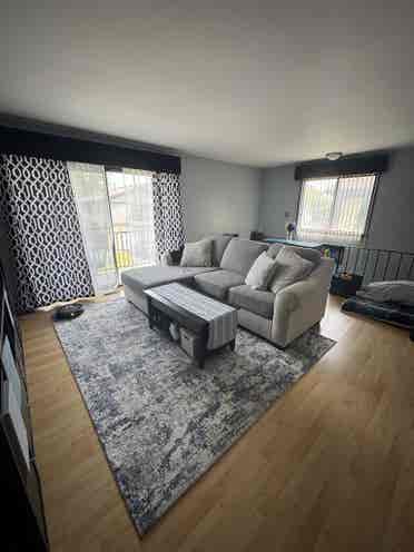 Looking for Roommate