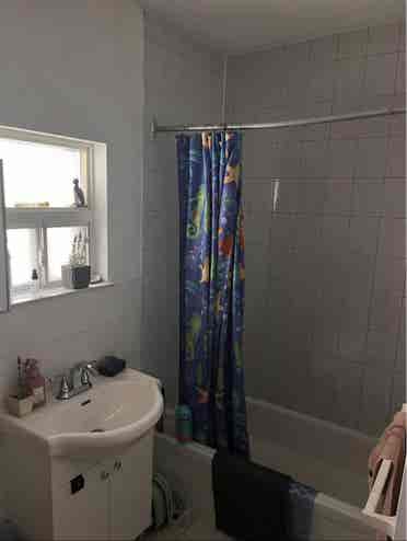 In need of a roommate URGENTLY!!!