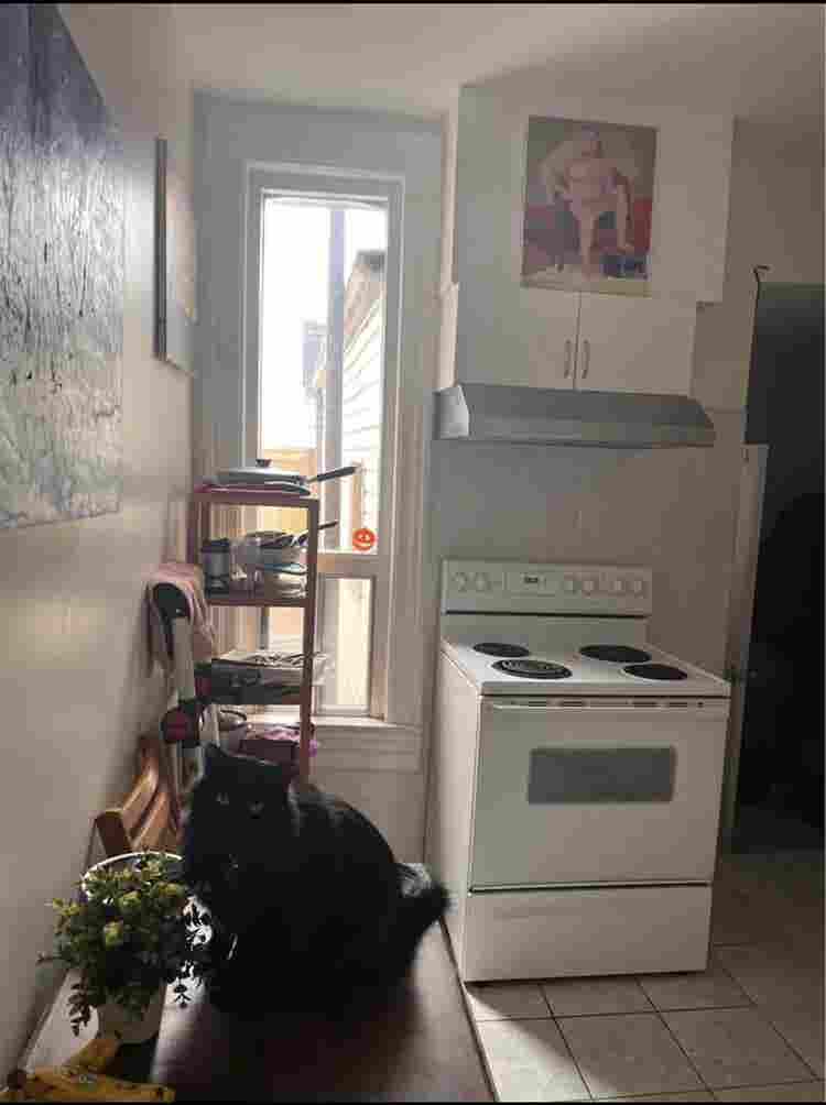 In need of a roommate URGENTLY!!!