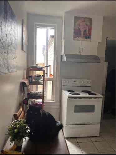 In need of a roommate URGENTLY!!!