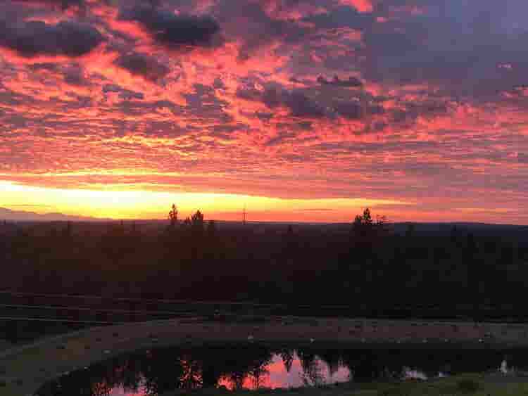 Furnished Room in Issaquah for