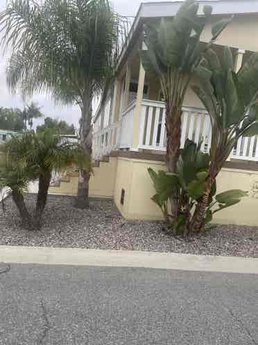 2 rooms for rent