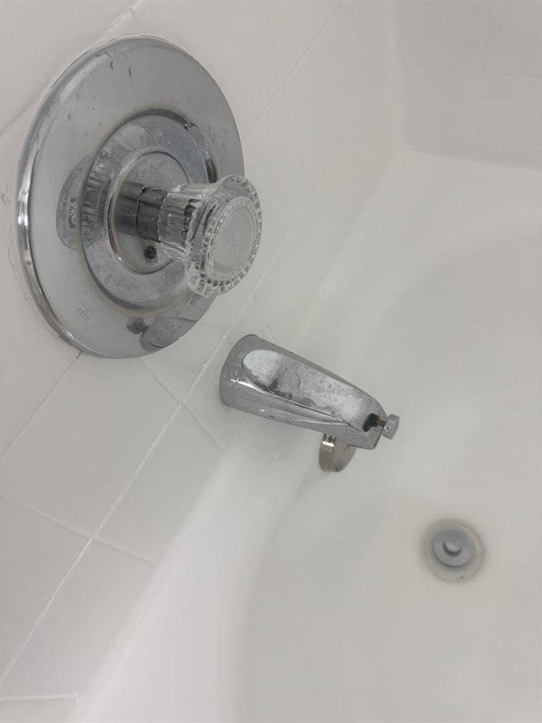 Spacious 1BD with private bathroom