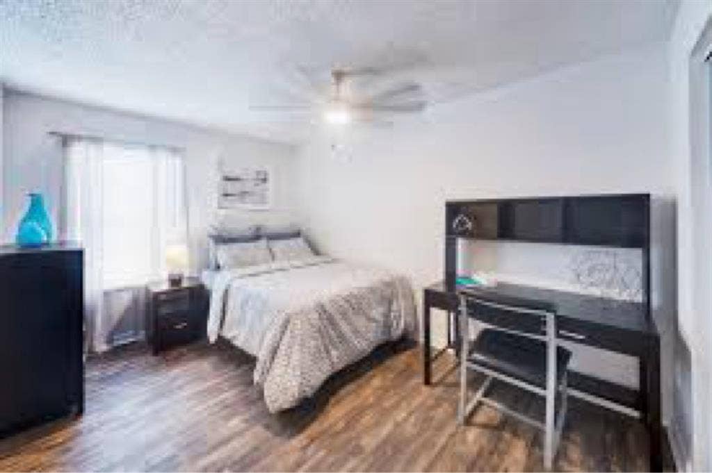 Available room August 8th!