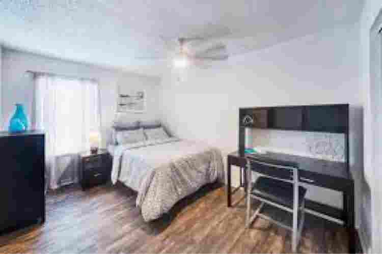 Available room August 8th!