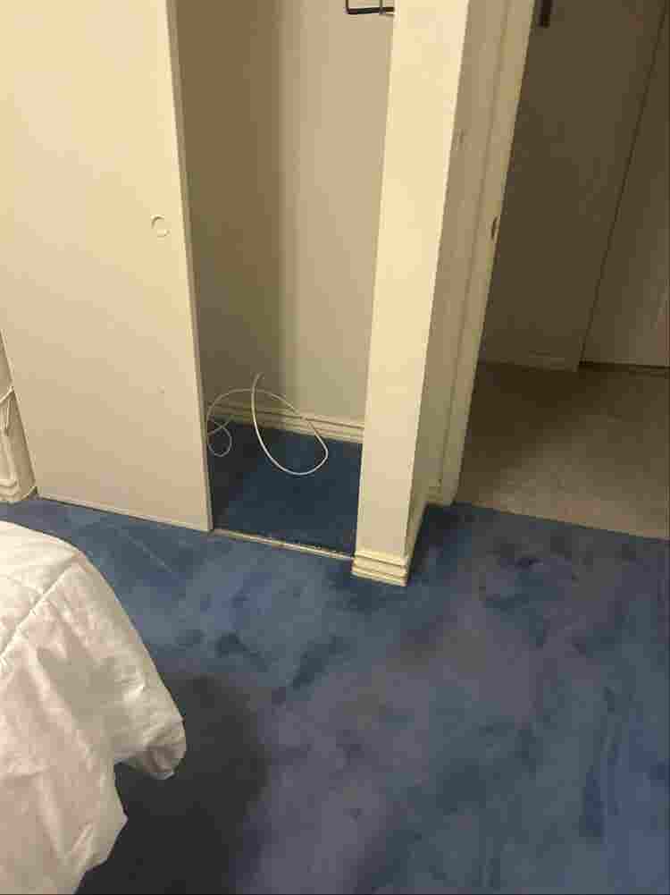 Room for rent