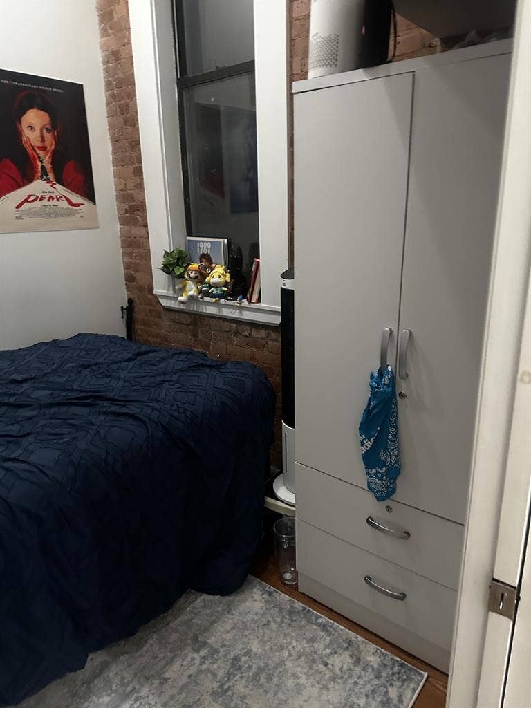 Midtown manhattan roommate