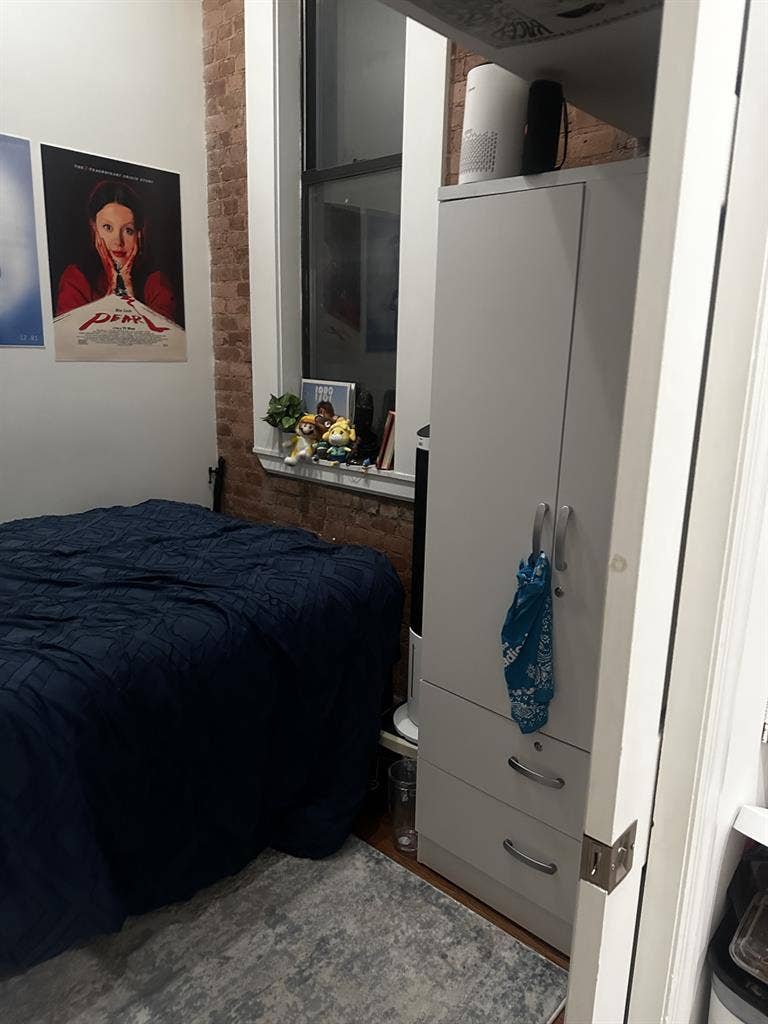 Midtown manhattan roommate