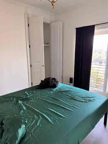 1 bedroom apartment in south slope