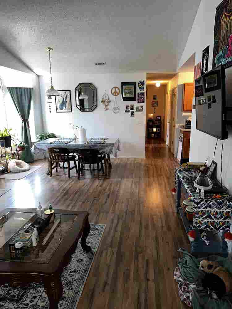 Boho Home - Female Roomie Needed