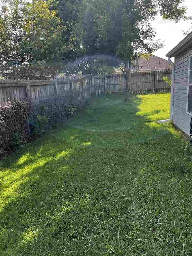 Boho Home - Female Roomie Needed