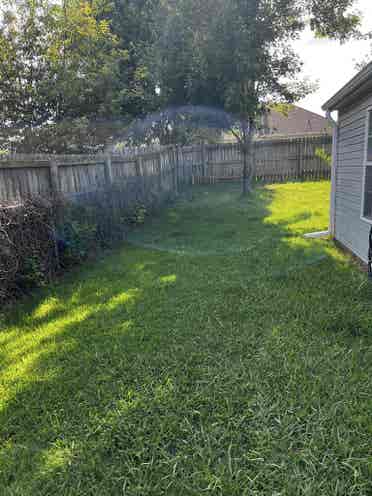 Boho Home - Female Roomie Needed