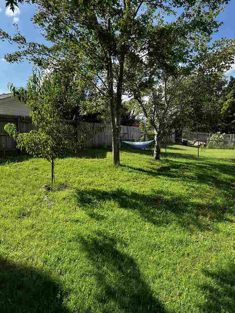 Boho Home - Female Roomie Needed