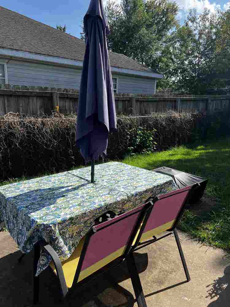 Boho Home - Female Roomie Needed