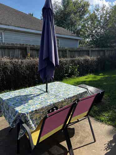 Boho Home - Female Roomie Needed