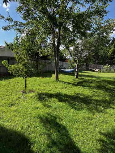 Boho Home - Female Roomie Needed