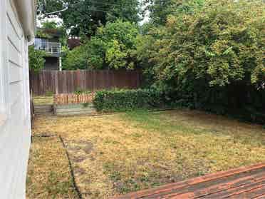 3 Bedroom house WSU-Pullman