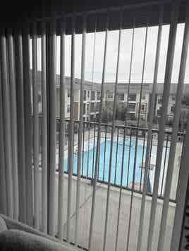Female Roommate wanted in 1BR apt.