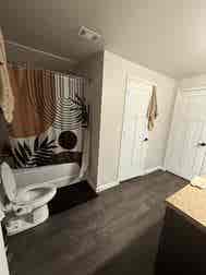 Female Roommate wanted in 1BR apt.