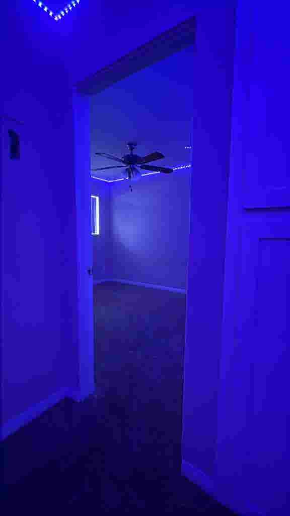 Room for rent !