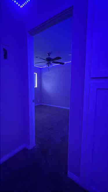 Room for rent !