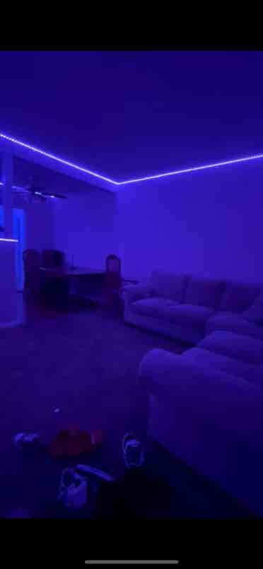 Room for rent !
