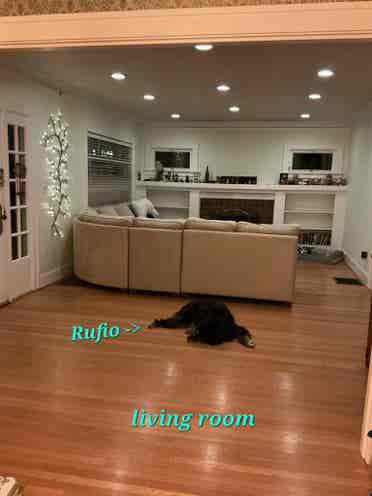 1BD AVAIL. AUG BD-NE Portland