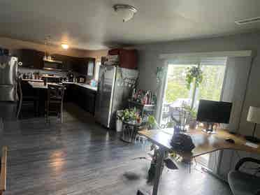 Looking for a couple roommates! 