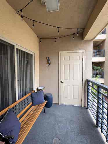 Furnished Room—DT, Avail 1 Sept 