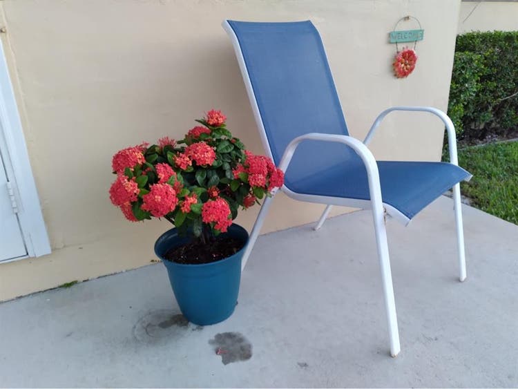 Beautiful room for rent.Hollywood