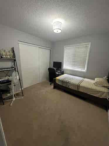 House for rent