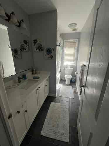 House for rent