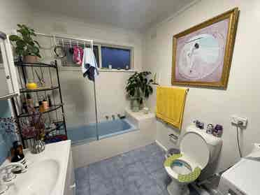 Nice & Elegant room to share