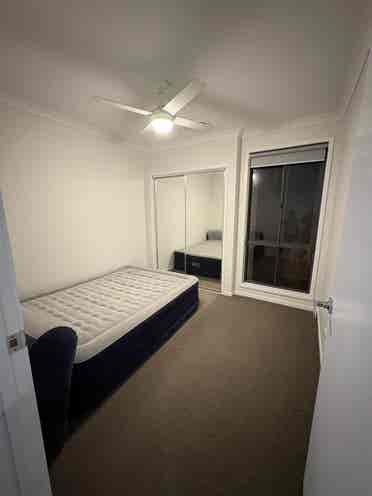 Room for rent in Narangba