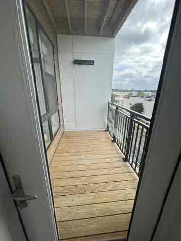 Looking for a female roommate!