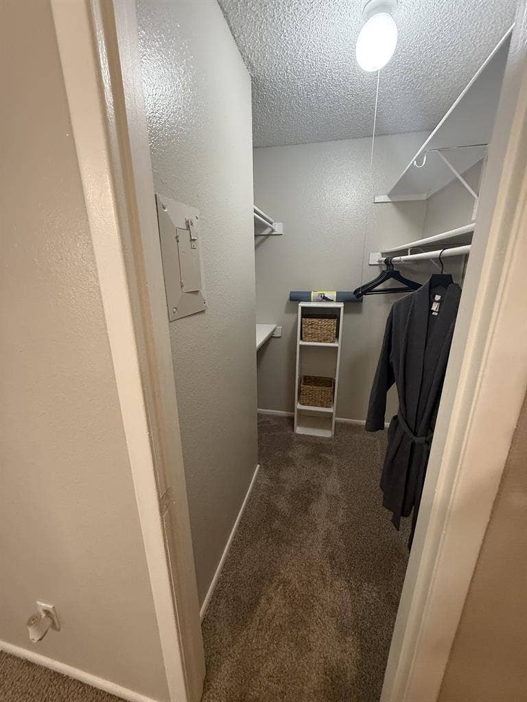 Brixton Apartment