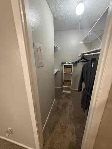 Brixton Apartment
