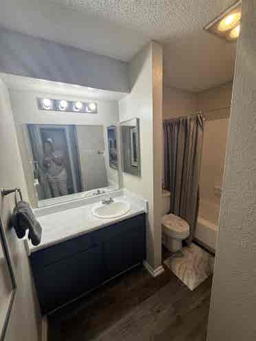 Brixton Apartment