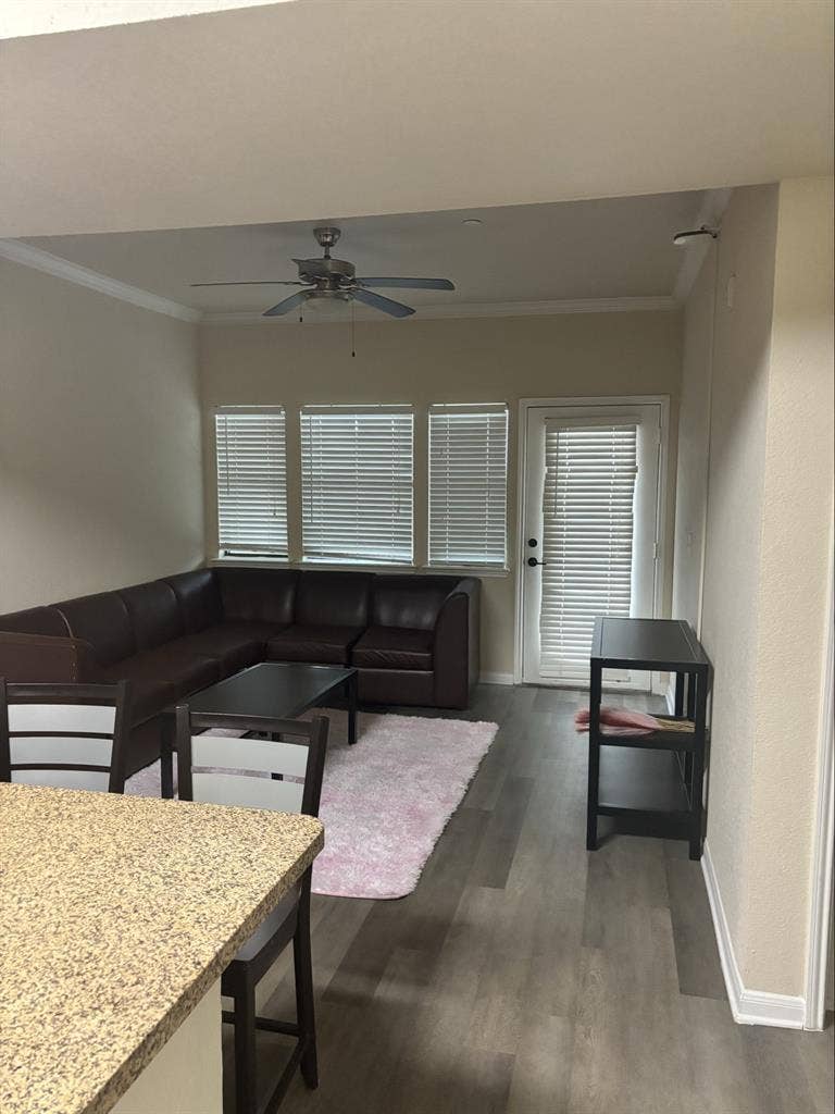 Am renting out a room