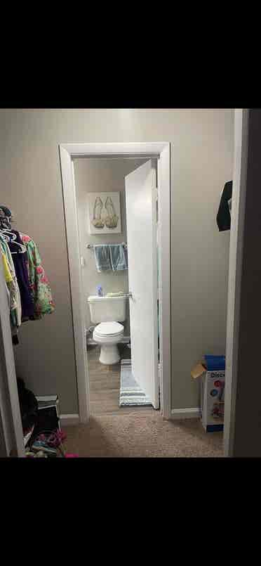 Share 2 Bdrm. In Charleston!
