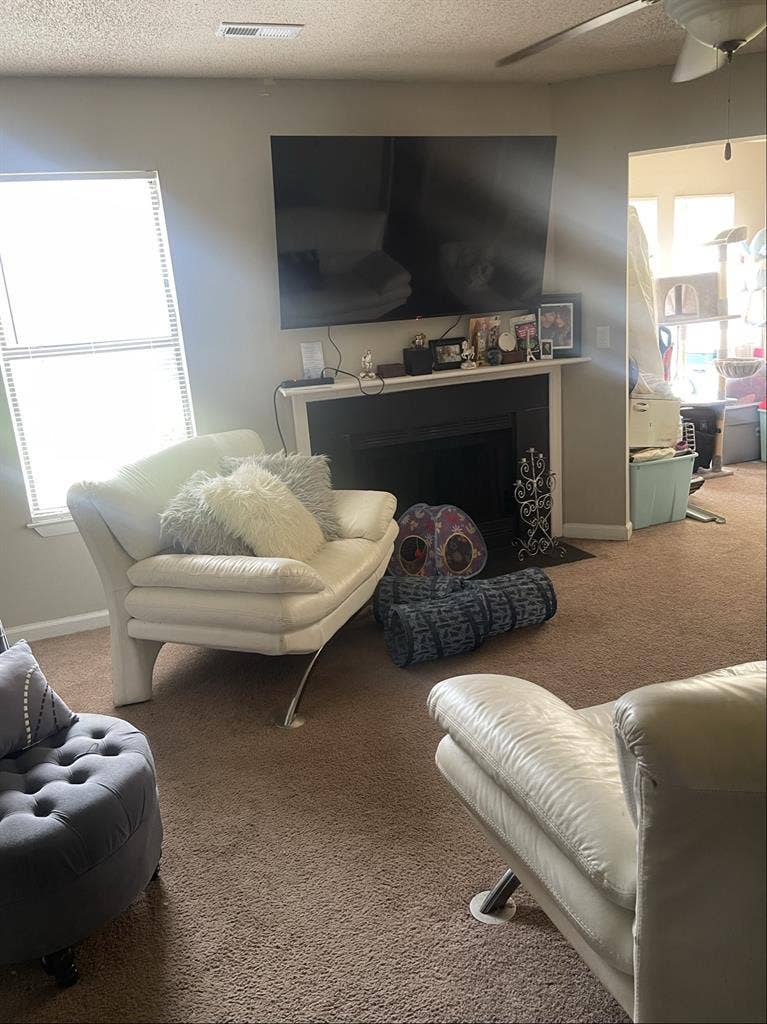 Share 2 Bdrm. In Charleston!