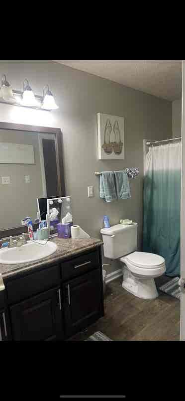 Share 2 Bdrm. In Charleston!