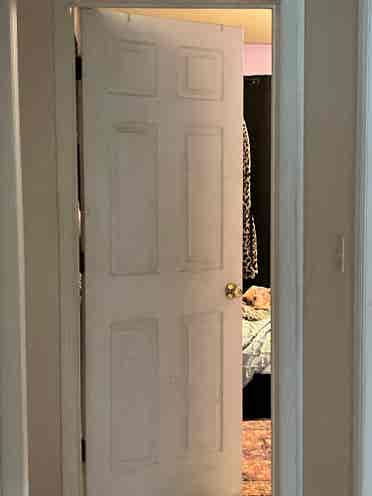 Looking for a third roommate !!