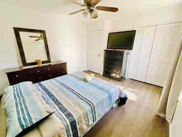 Rooms Available Now in Clarksville!