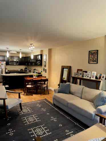 1bed in downtown dc!