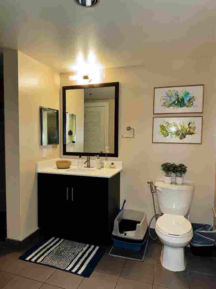 1bed in downtown dc!